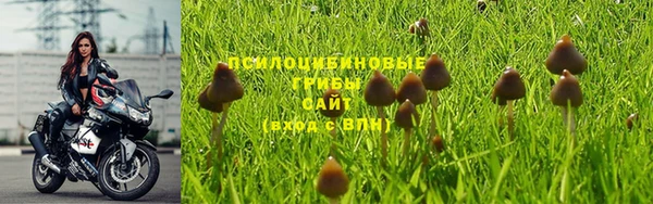 дмт Покров