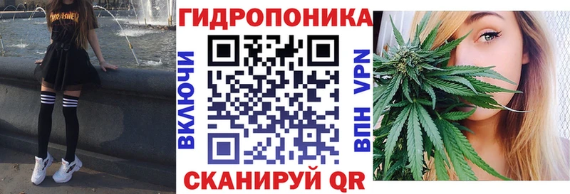 Каннабис семена  дарнет шоп  Новая Ладога 